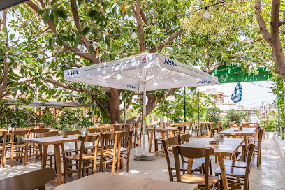 Το Δίχαλο Χανιά