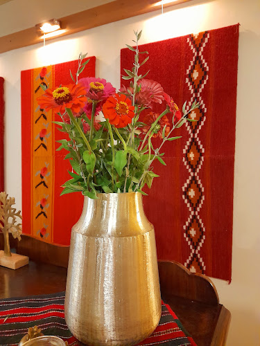 Comentarii opinii despre Meraki