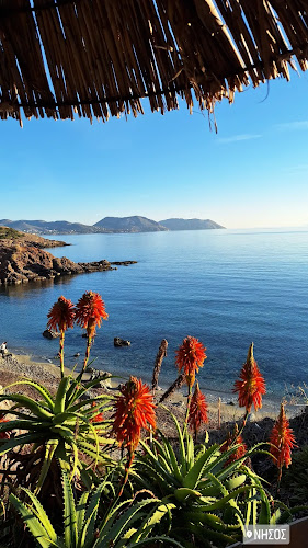 Nisos Café Bar - Ανάβυσσος