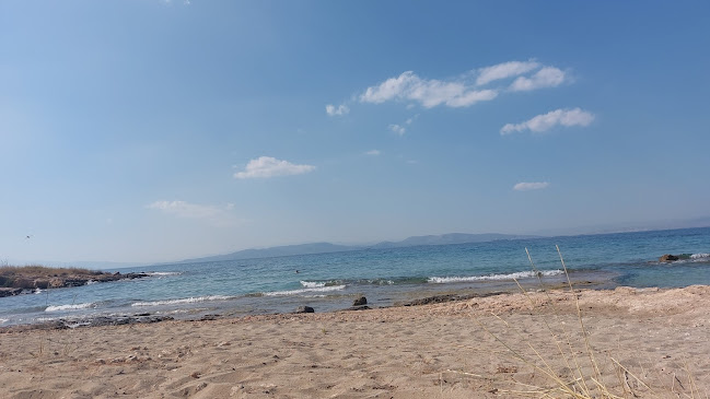 The Beachhouse Beach Bar - Γαστρονομία και φιλοξενία