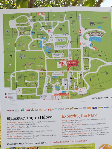 Zoo Café Restaurant - Σπάτα