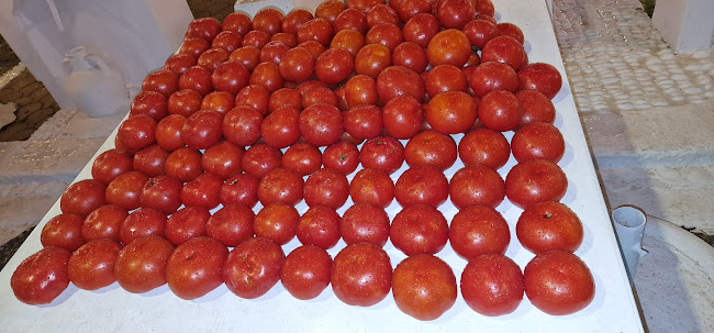 Drossia Traditional Restaurant since 1974 - Μάλια