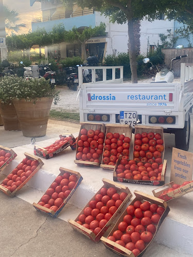 Comentarii opinii despre Drossia Traditional Restaurant since 1974