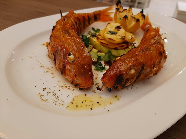 Comentarii opinii despre Molos Seaside Restaurant Nea Roda