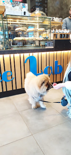 Comentarii opinii despre Coffee Lab Κοζάνη