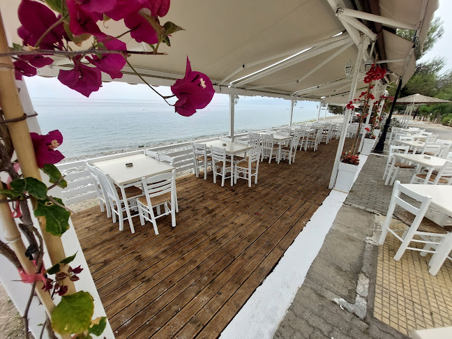 Meltemi..αλλιώς Restaurant Άγιοι Θεόδωροι - Γαστρονομία και φιλοξενία