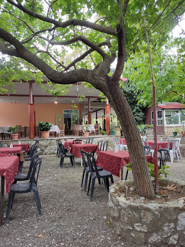 Εξοχικό Κέντρο «ο Πλάτανος» - Γαστρονομία και φιλοξενία