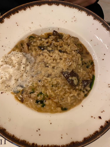 Comentarii opinii despre Il Trovatore