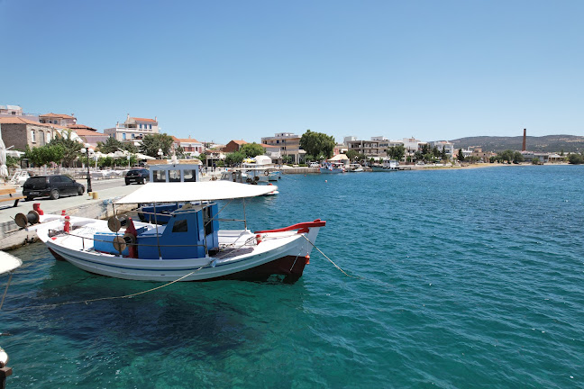 Comentarii opinii despre Ψησταριά Ουζερί Σαλέας