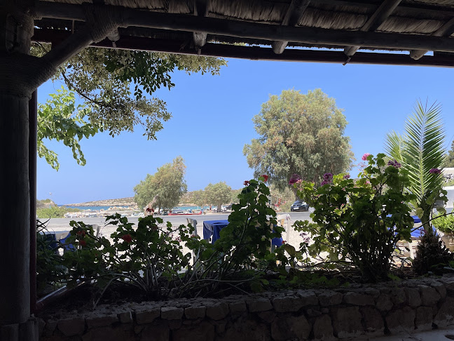 Comentarii opinii despre Taverna Agios Onoufrios