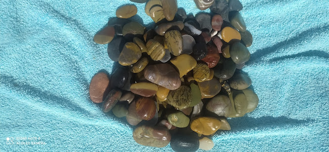 Thines - Βαρθολομιό