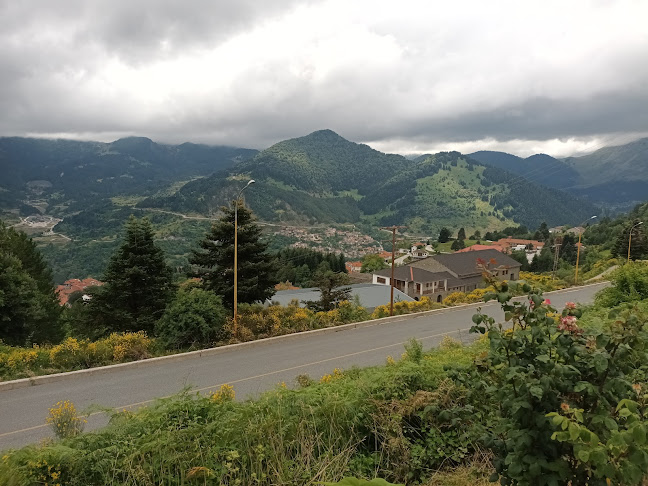 ΤΕΛΕΦΕΡΙΚ - Μέτσοβο