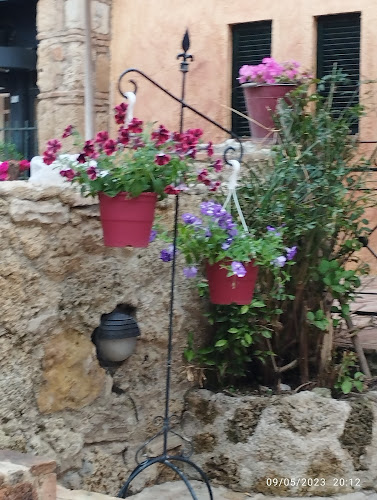 Comentarii opinii despre Apopsi