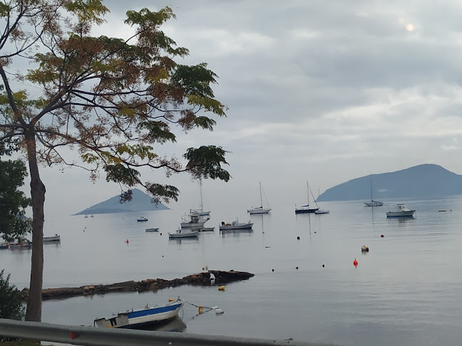 Comentarii opinii despre Taverna Vasilis Restaurant