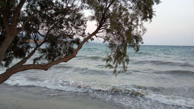 Opinii despre Στην Λαδόκολλα în Χαλκίδα - Γαστρονομία και φιλοξενία