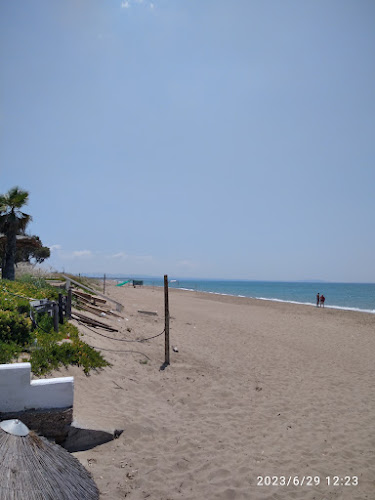 Thines - Γαστρονομία και φιλοξενία