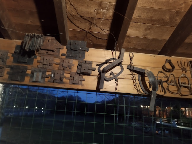 Αγρόκτημα Παπάκια - Καλαμάτα