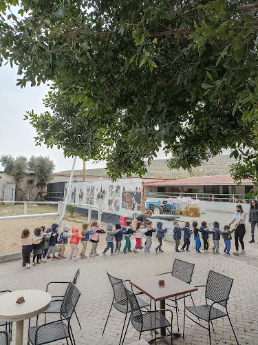 Ippikos Cafe - Καρτερός