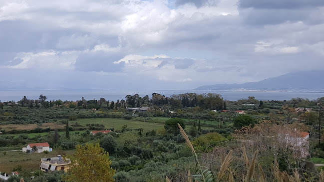 Thea cafe - Γαστρονομία και φιλοξενία