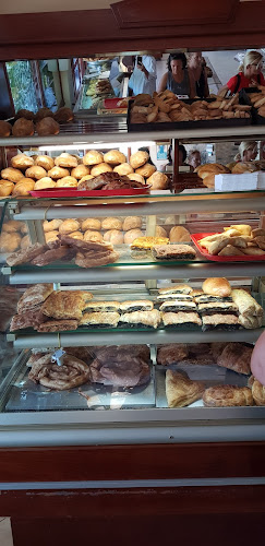 Νέο Κλήμα 370 03