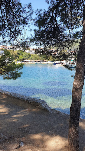 Comentarii opinii despre Traditional Restaurant skiathos Μουράγιο