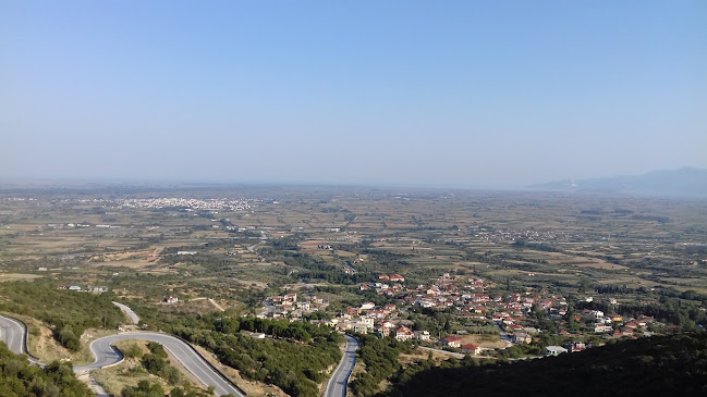 Ταβέρνα Μέγας Αλέξανδρος (Restaurant Megas Alexandros Zarkadia) - Γαστρονομία και φιλοξενία