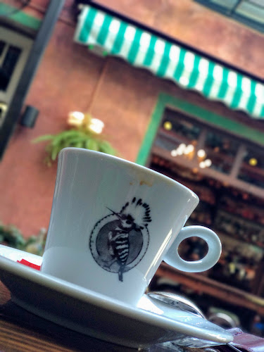 Comentarii opinii despre Upupa Epops - The bar