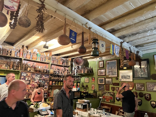 Κυνοπιάστες 490 84