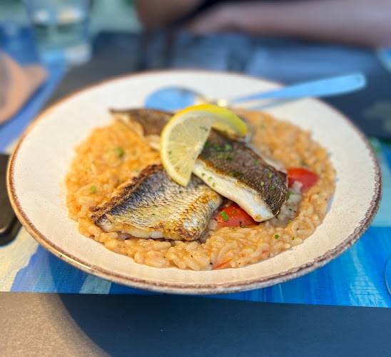 Opinii despre Πηδάλιο - Restaurant în Ναύπλιο - Γαστρονομία και φιλοξενία