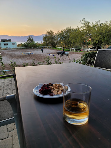 Opinii despre Ιππικός Όμιλος Ρίου în Πλατάνι - Γαστρονομία και φιλοξενία