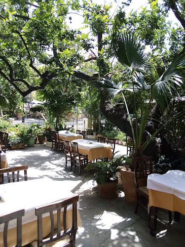 Comentarii opinii despre ΜΥΡΙΟΦΥΤΟ