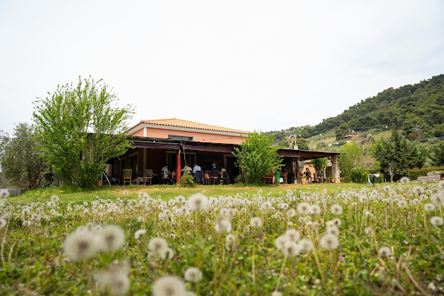 Αγιαννάκης, Κυπαρισσία 245 00