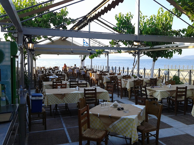 ΜΟΥΡΙΕΣ ΕΣΤΙΑΤΟΡΙΟ - ΨΗΣΤΑΡΙΑ