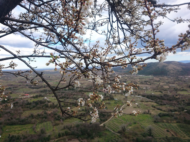 Ψηλός Βράχος Coffee - Pizza - Έδεσσα