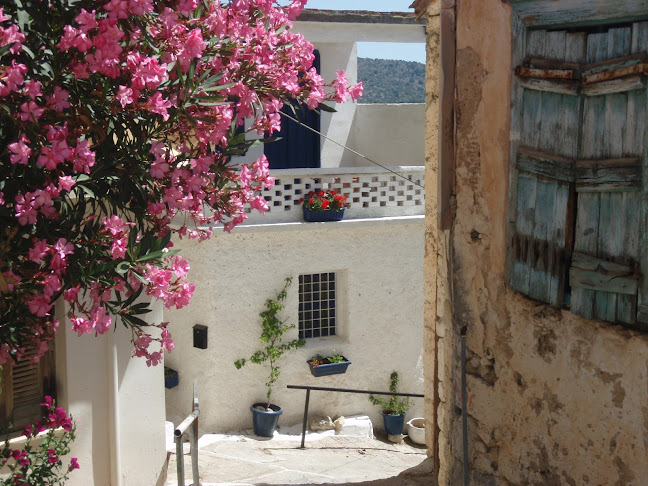 Comentarii opinii despre Αρτοποιία Ζαχαροπλαστική Σκουρβουλιανάκης