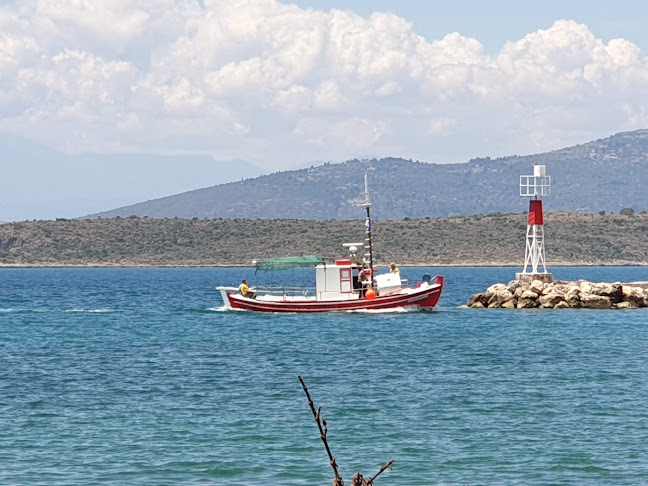28ης Οκτωβρίου 113, Ιτέα 332 00