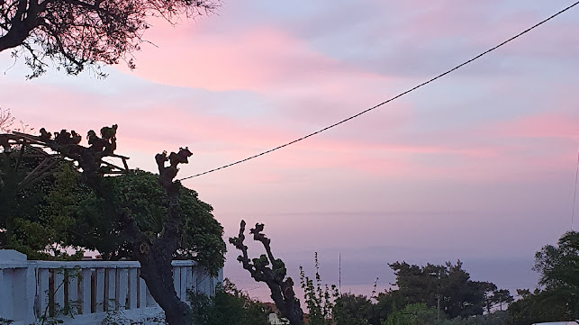 Navagio All Day Bar Ikaria - Γαστρονομία και φιλοξενία