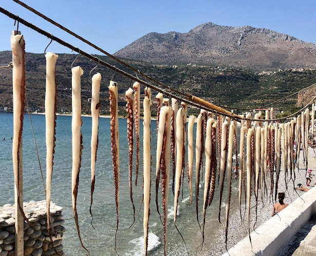 Ο Μαύρος Πειρατής - Νέο Οίτυλο