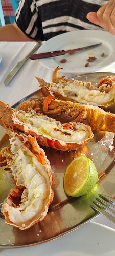 Νέο Οίτυλο 230 62