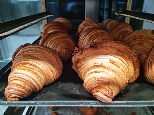 Ρίζος Ελαια-Φούρνος - Γαστρονομία και φιλοξενία