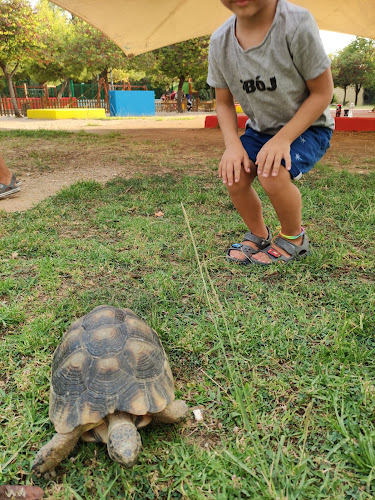 Comentarii opinii despre Επίγειον