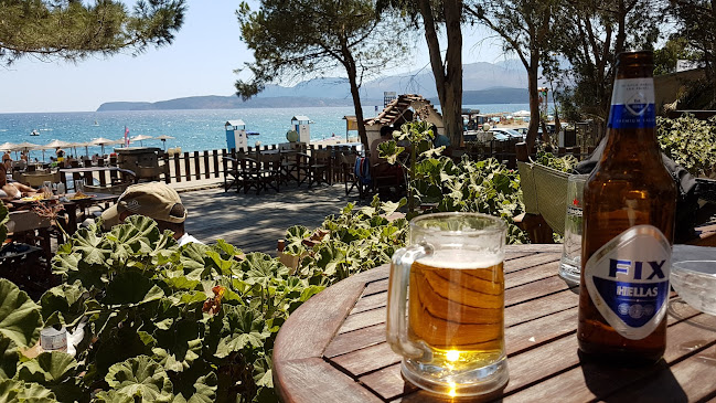 Ocean Cafe Bar Surf Club