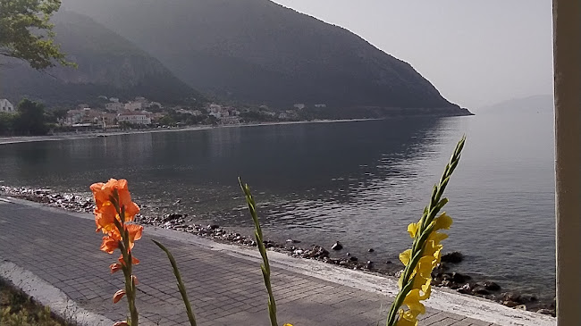 Steki Grill Restaurant - Γαστρονομία και φιλοξενία