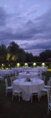 Ελαιώνας 250 03