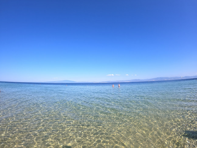 Comentarii opinii despre Pachis Beach Bar