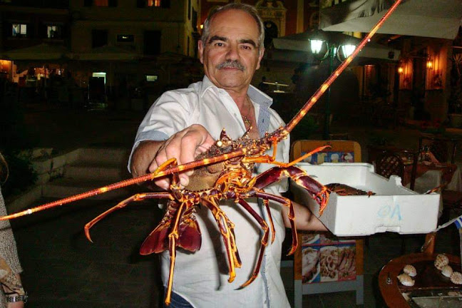 Orama Restaurant . - Γαστρονομία και φιλοξενία