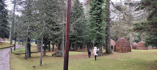 Opinii despre Στανη în Ιωάννινα - Γαστρονομία και φιλοξενία