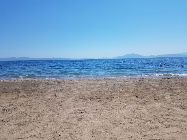 Comentarii opinii despre Ballux καρνάγιο