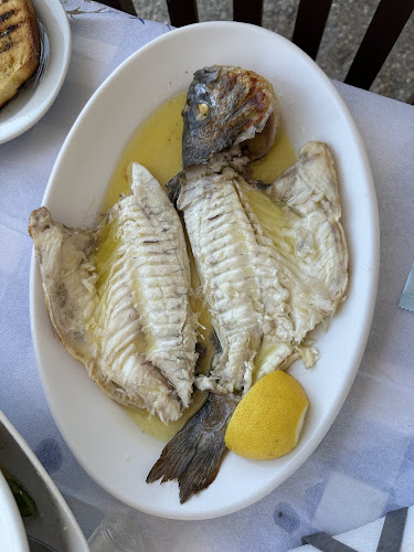 Ippokampos - Βραχάτι