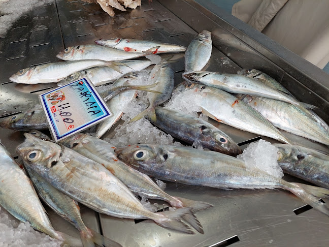 Ψαραγορά Διακοφτο /Fish market Diakopto - Γαστρονομία και φιλοξενία